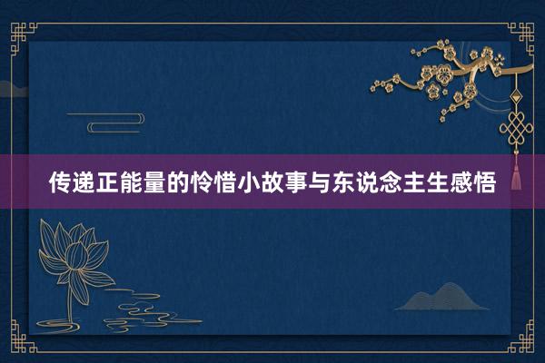 传递正能量的怜惜小故事与东说念主生感悟