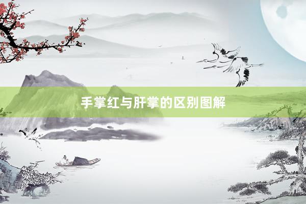 手掌红与肝掌的区别图解