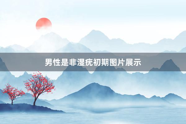 男性是非湿疣初期图片展示