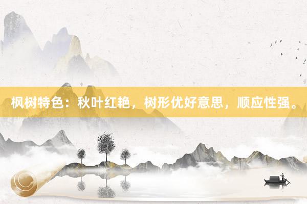 枫树特色：秋叶红艳，树形优好意思，顺应性强。